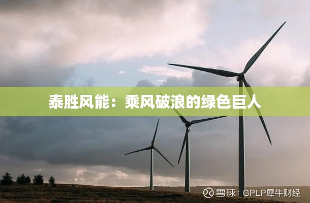 泰胜风能:乘风破浪的绿色巨人