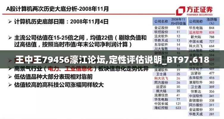 王中王79456濠江论坛,定性评估说明_BT97.618
