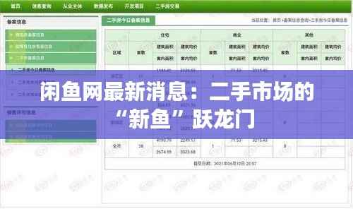 专心致志 第5页