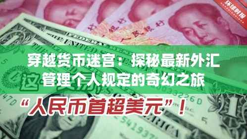 穿越货币迷宫:探秘最新外汇管理个人规定的奇幻之旅