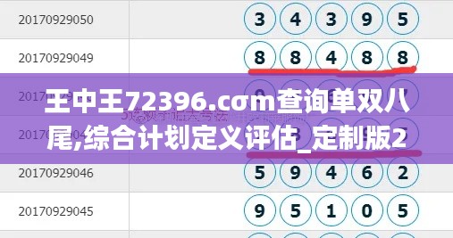 王中王72396.cσm查询单双八尾,综合计划定义评估_定制版2.821