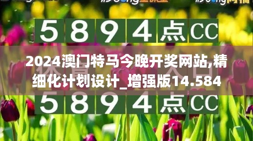 2024澳门特马今晚开奖网站,精细化计划设计_增强版14.584
