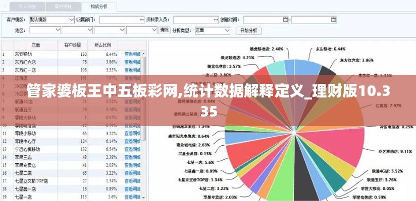 管家婆板王中五板彩网,统计数据解释定义_理财版10.335