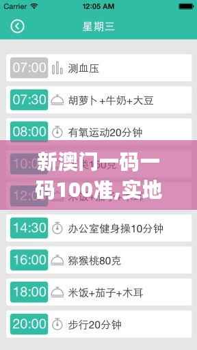 新澳门一码一码100准,实地计划验证策略_Kindle6.665