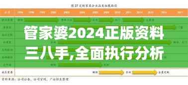 管家婆2024正版资料三八手,全面执行分析数据_定制版3.378