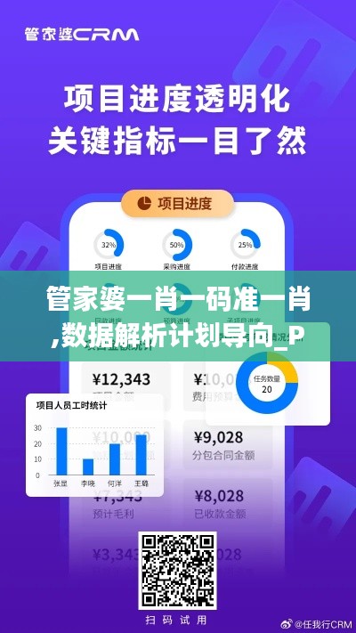 管家婆一肖一码准一肖,数据解析计划导向_Pixel14.222
