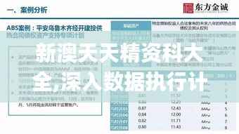 新澳天天精资科大全,深入数据执行计划_复古版5.851