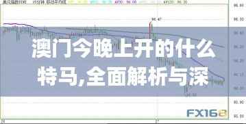 澳门今晚上开的什么特马,全面解析与深度探讨_FT2.343