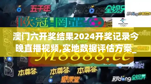 澳门六开奖结果2024开奖记录今晚直播视频,实地数据评估方案_战略版7.938