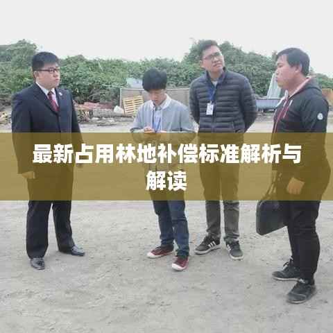 最新占用林地补偿标准解析与解读