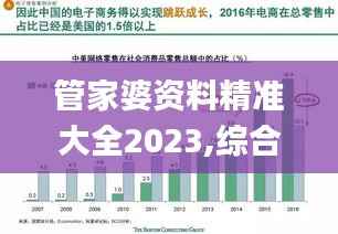 管家婆资料精准大全2023,综合研究解释定义_进阶版5.506