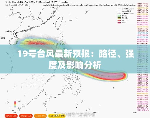 19号台风最新预报:路径、强度及影响分析