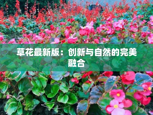 草花最新版:创新与自然的完美融合