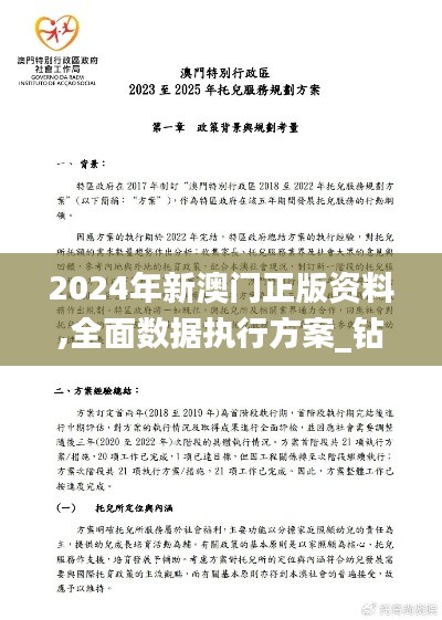 2024年新澳门正版资料,全面数据执行方案_钻石版110.504