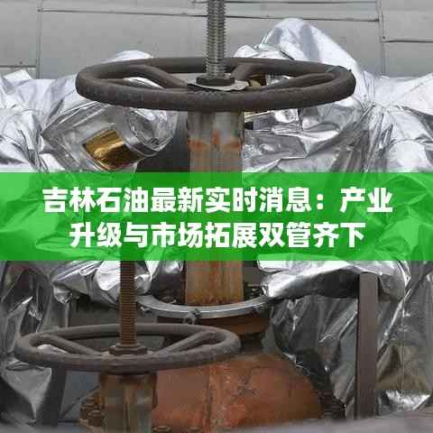 吉林石油最新实时消息:产业升级与市场拓展双管齐下