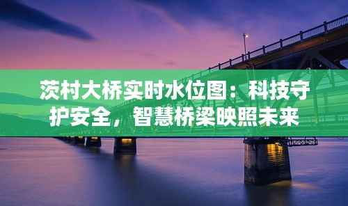 茨村大桥实时水位图:科技守护安全,智慧桥梁映照未来