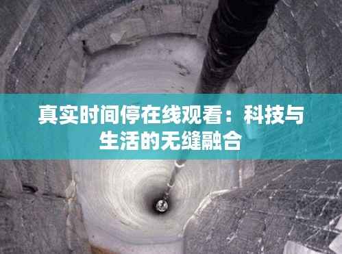真实时间停在线观看:科技与生活的无缝融合