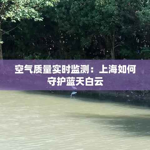 空气质量实时监测:上海如何守护蓝天白云