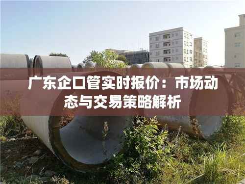广东企口管实时报价:市场动态与交易策略解析