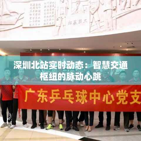 深圳北站实时动态:智慧交通枢纽的脉动心跳