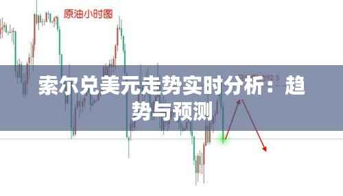 索尔兑美元走势实时分析:趋势与预测