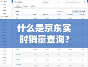 什么是京东实时销量查询?