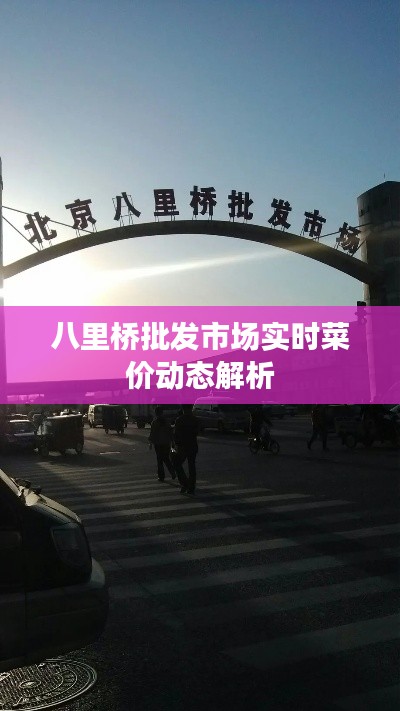 八里桥批发市场实时菜价动态解析