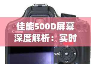 乌鸟私情 第3页