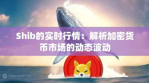 Shib的实时行情:解析加密货币市场的动态波动