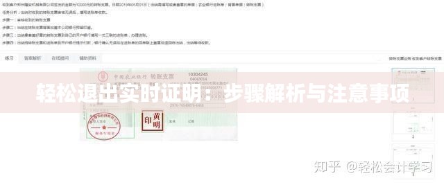 轻松退出实时证明:步骤解析与注意事项