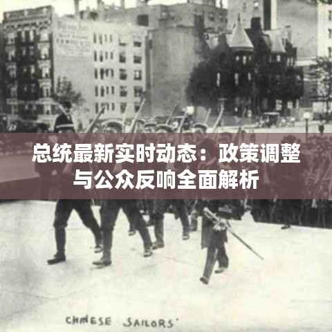 总统最新实时动态:政策调整与公众反响全面解析