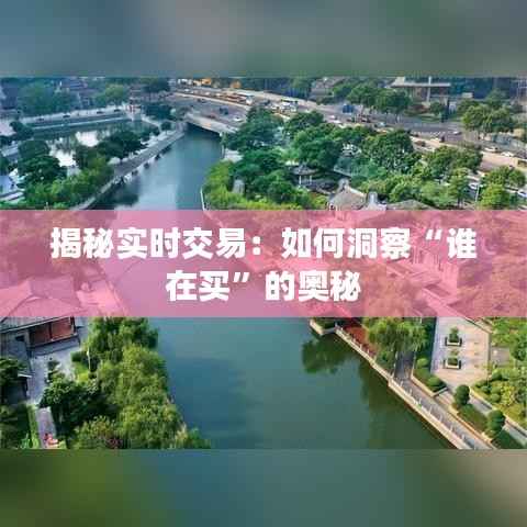 揭秘实时交易:如何洞察“谁在买”的奥秘