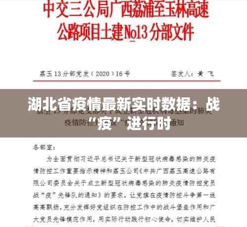 明目张胆 第3页