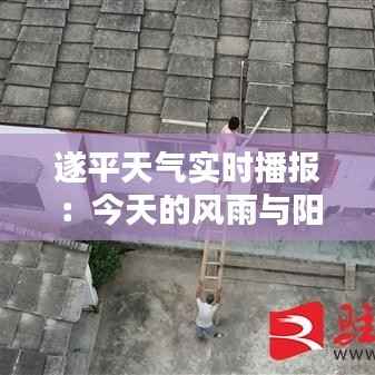 遂平天气实时播报:今天的风雨与阳光