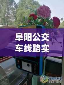 月里嫦娥 第3页