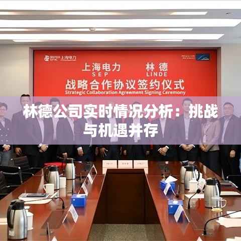 林德公司实时情况分析:挑战与机遇并存