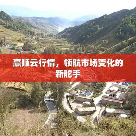 赢顺云行情,领航市场变化的新舵手