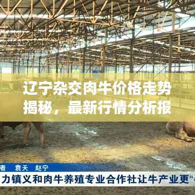 辽宁杂交肉牛价格走势揭秘,最新行情分析报告!