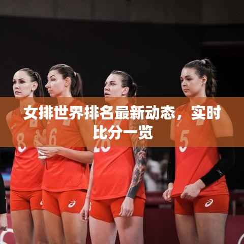 女排世界排名最新动态,实时比分一览