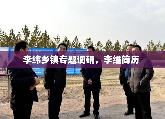 李纬乡镇专题调研，李维简历 