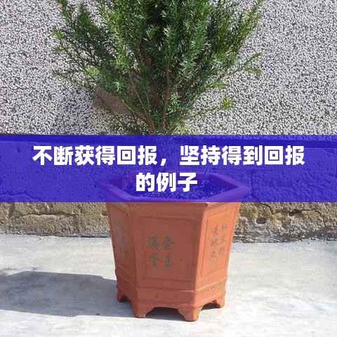 不断获得回报,坚持得到回报的例子