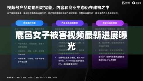 鹿邑女子被害视频最新进展曝光