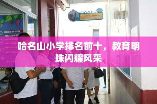 哈名山小学排名前十,教育明珠闪耀风采