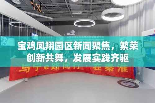 宝鸡凤翔园区新闻聚焦,繁荣创新共舞,发展实践齐驱