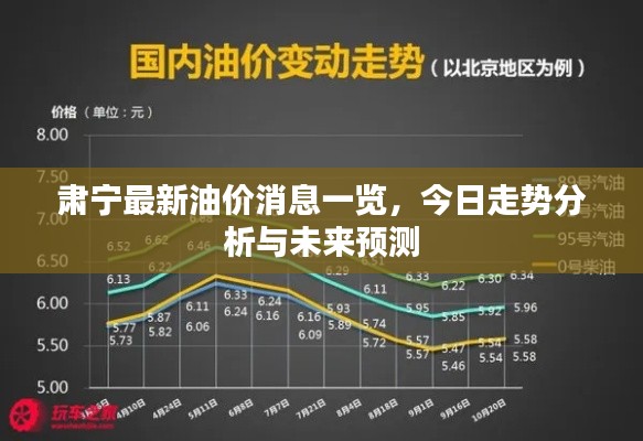 肃宁最新油价消息一览,今日走势分析与未来预测