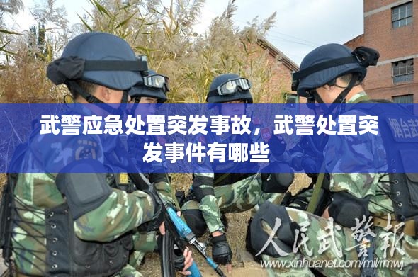 武警应急处置突发事故,武警处置突发事件有哪些
