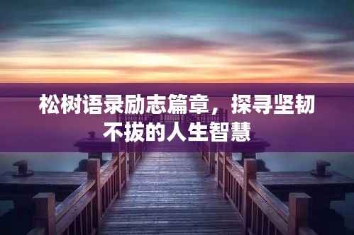 松树语录励志篇章，探寻坚韧不拔的人生智慧