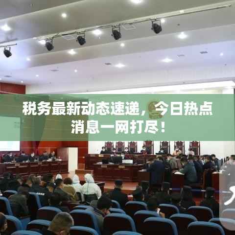 税务最新动态速递,今日热点消息一网打尽!