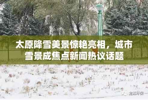 太原降雪美景惊艳亮相，城市雪景成焦点新闻热议话题