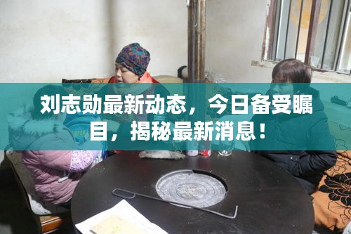 刘志勋最新动态,今日备受瞩目,揭秘最新消息!